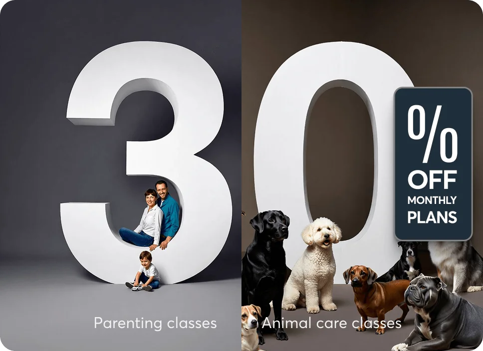 Cyber Monday 2025 pricing image