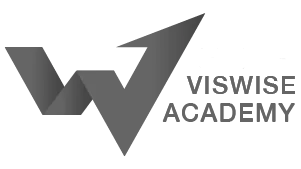 Viswise Academy