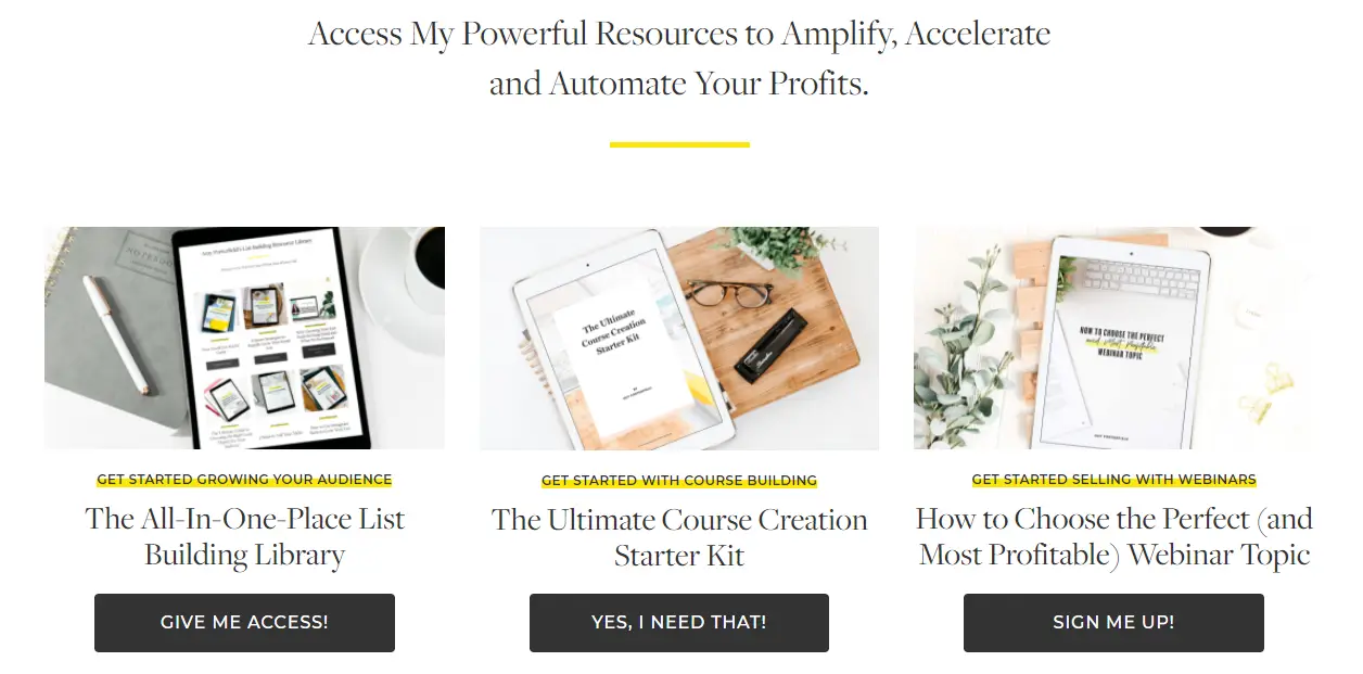 A screenshot showing three lead magnet examples on Amy Porterfield's website.