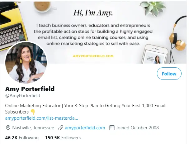 A screenshot showing Amy Porterfield's Twitter profile description.