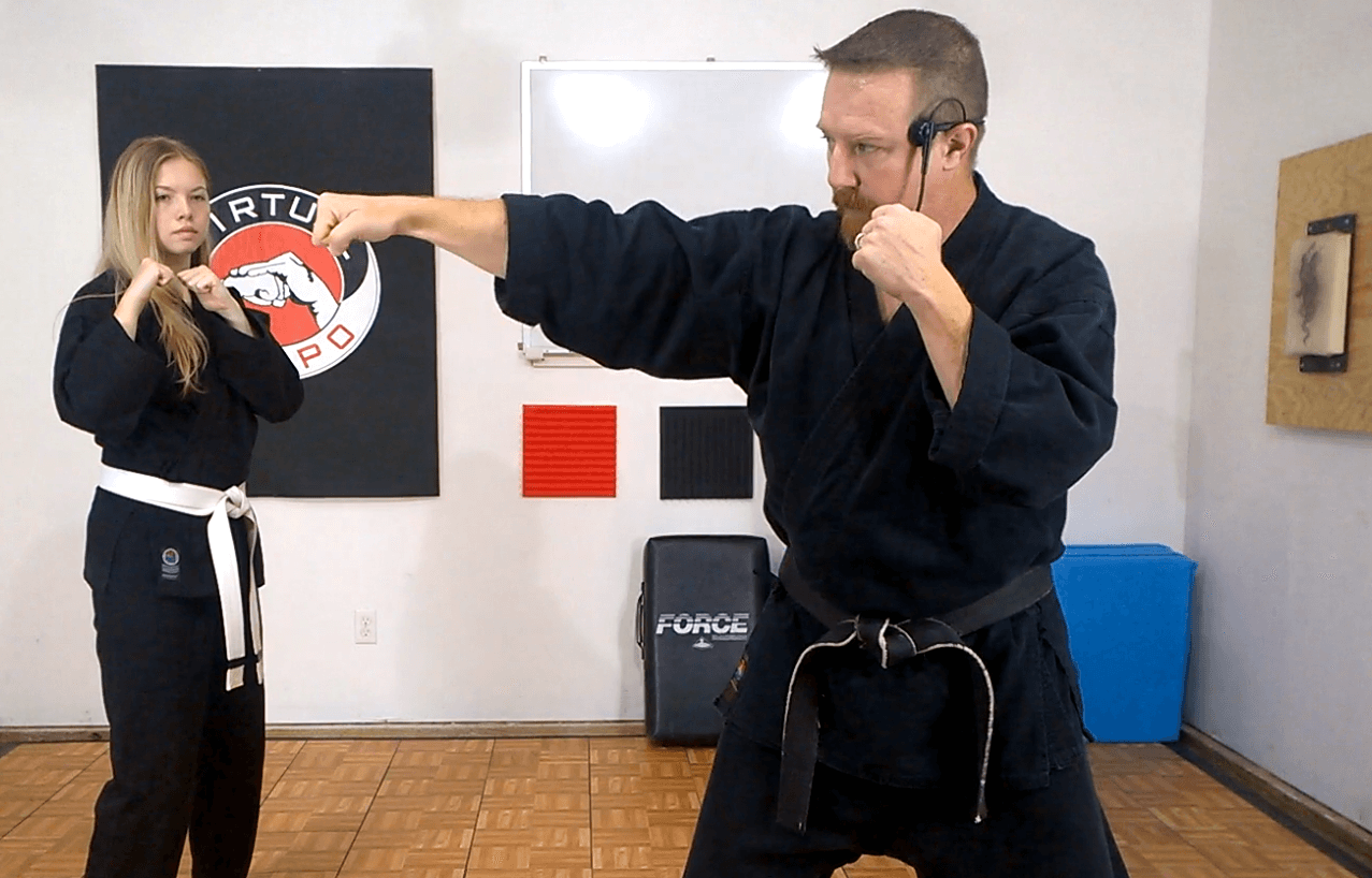 Virtual KenPo, Martial arts online demonstration
