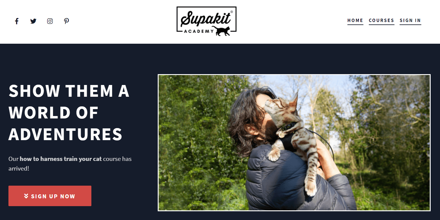 Supakit Online Academy on LearnWorlds Example