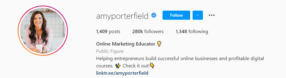 A screenshot of Amy Porterfield Instagram bio.