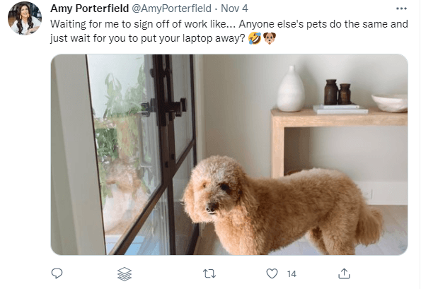 A screenshot of Amy Porterfield Twitter post.