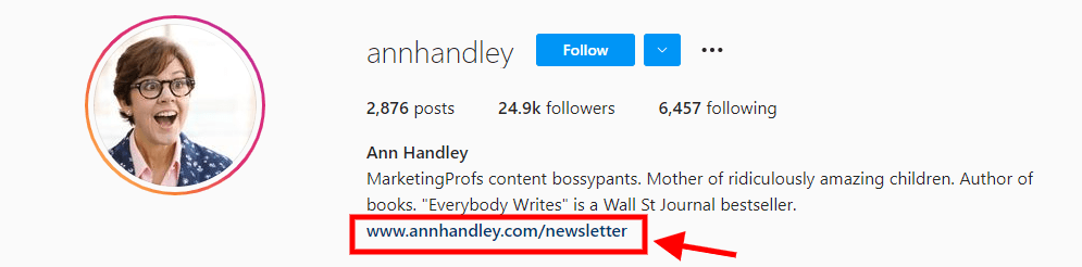 A screenshot of Ann Handley's Instagram bio highlighting the link to her email newsletter.