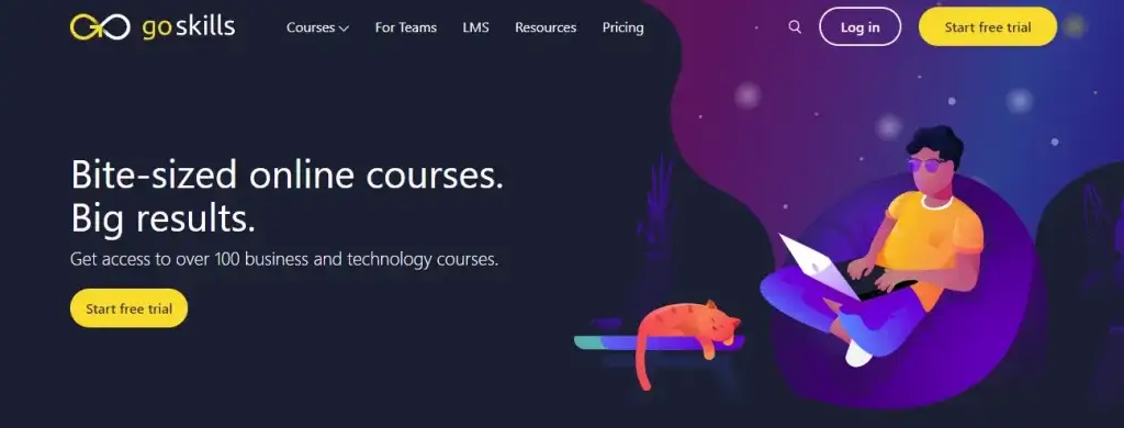 go skills-website-screenshot