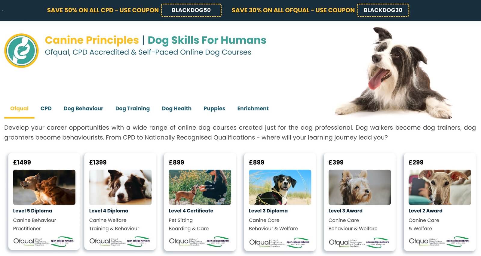 a screenshot of Canine Principles' website showing available courses