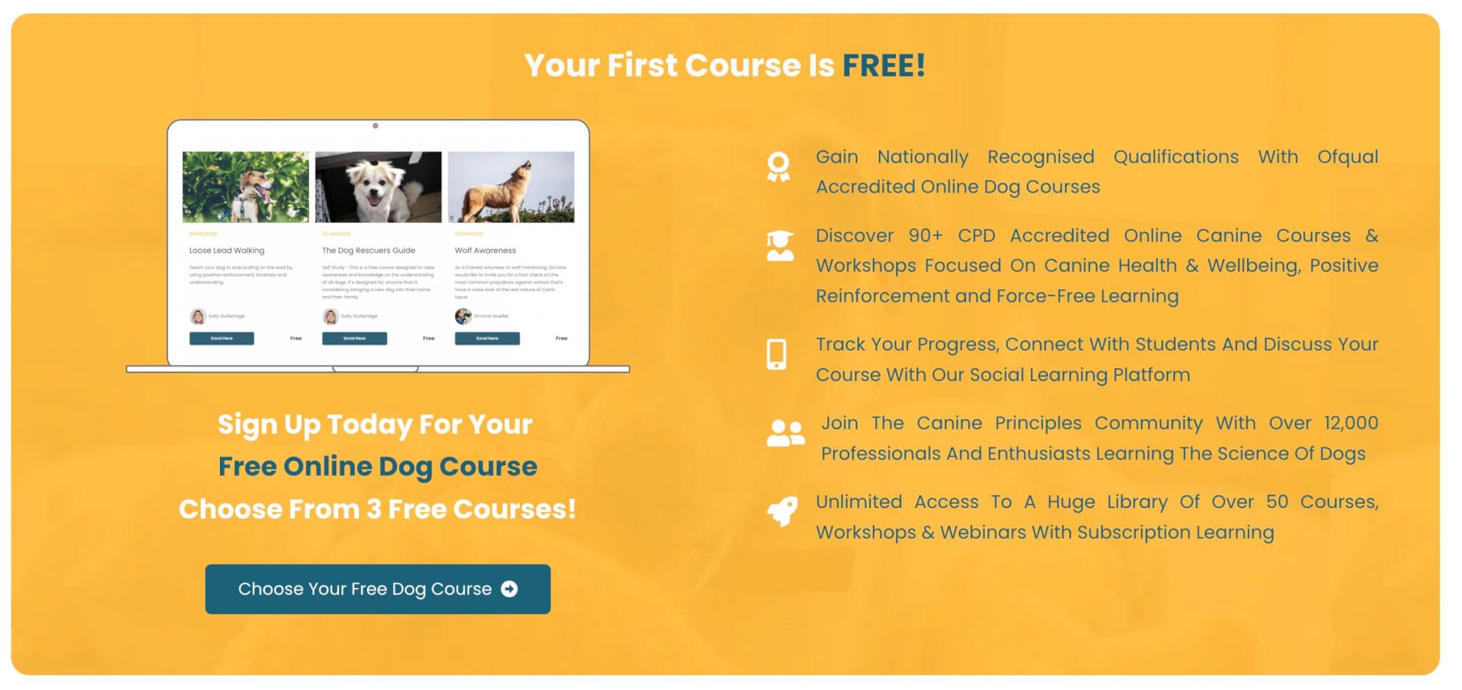 a screenshot of Canin Principles' website promoting an offer for a free course in yellow background