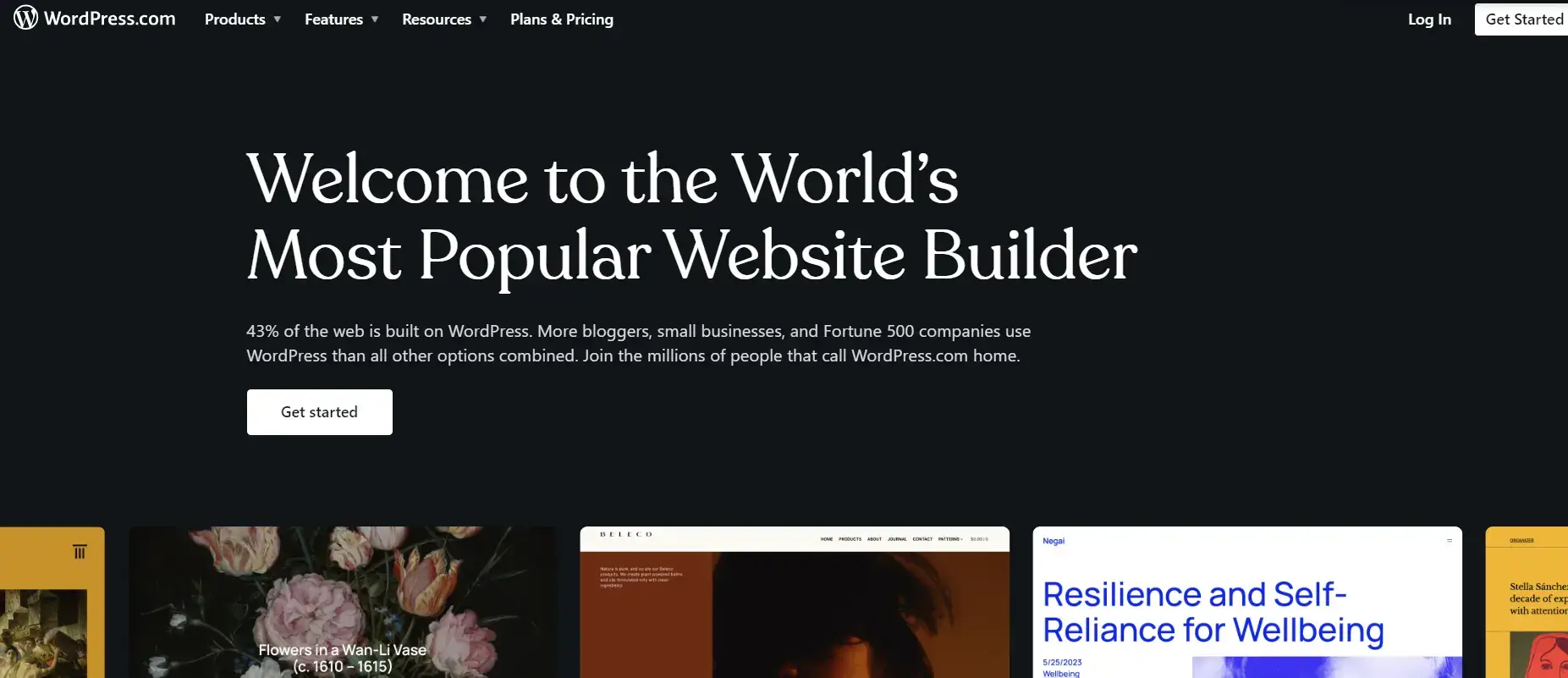 screenshot of WordPress homepage