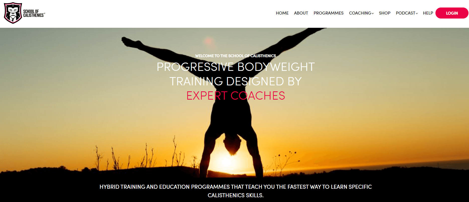 screenshot-of-The-School-of-Calisthenics-website