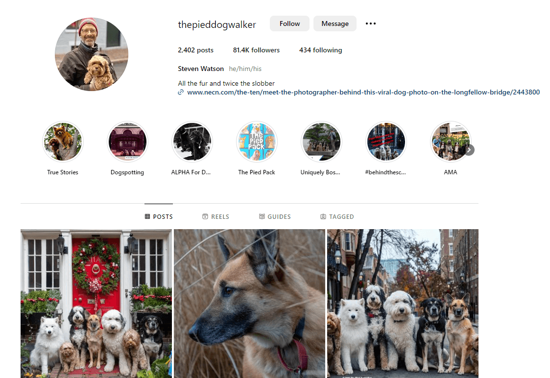 screenshot-of-The-Pied-Dog-Walker-Instagram-profile