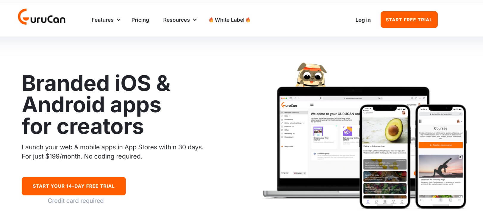 A screenshot of Gurucan's platform.