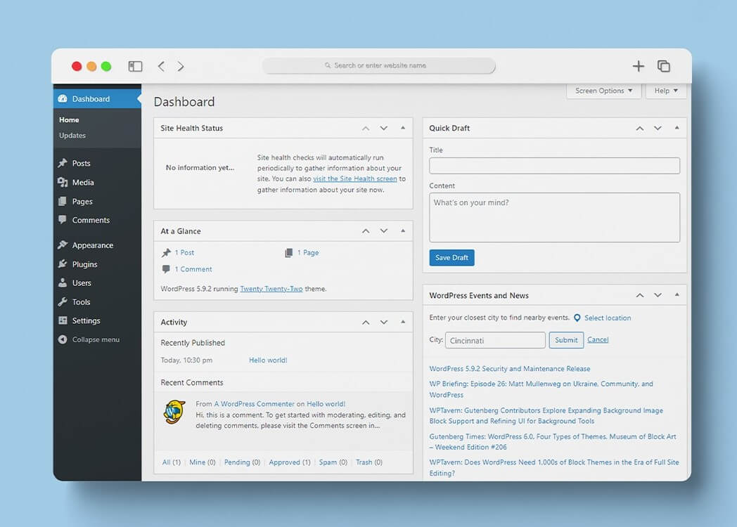 An image showing the WordPress interface.