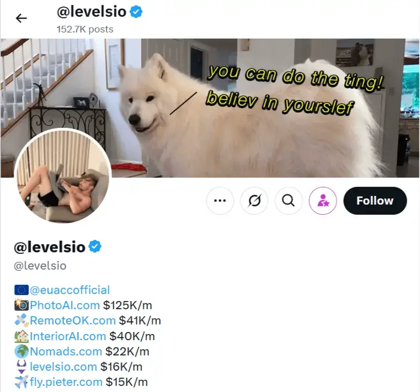 List of companies Pieter Levels founded displayed on his X profile