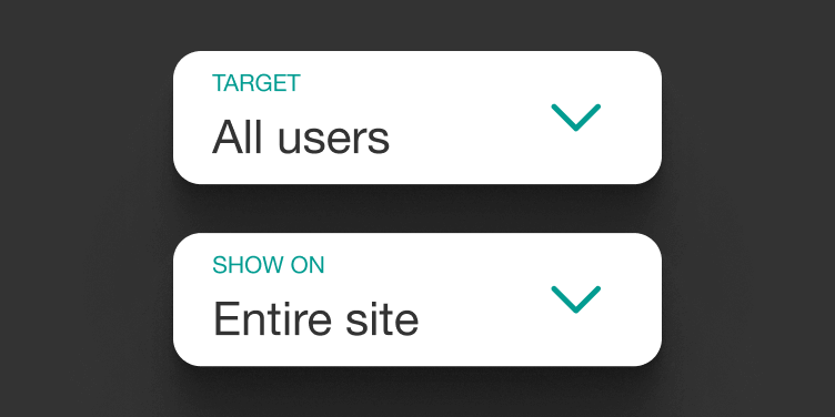 Advanced audience targeting controls for selecting users and display locations.