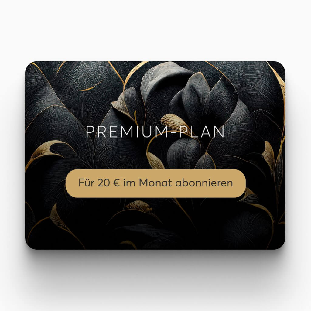 Abo-Karte für einen Premium-Plan mit Button „Für 20 € im Monat abonnieren"