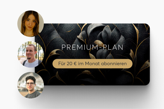 Premium-Plan-Abo für 20 € im Monat